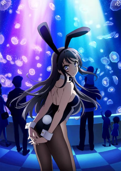 Portada de Seishun Buta Yarou wa Bunny Girl Senpai no Yume wo Minai